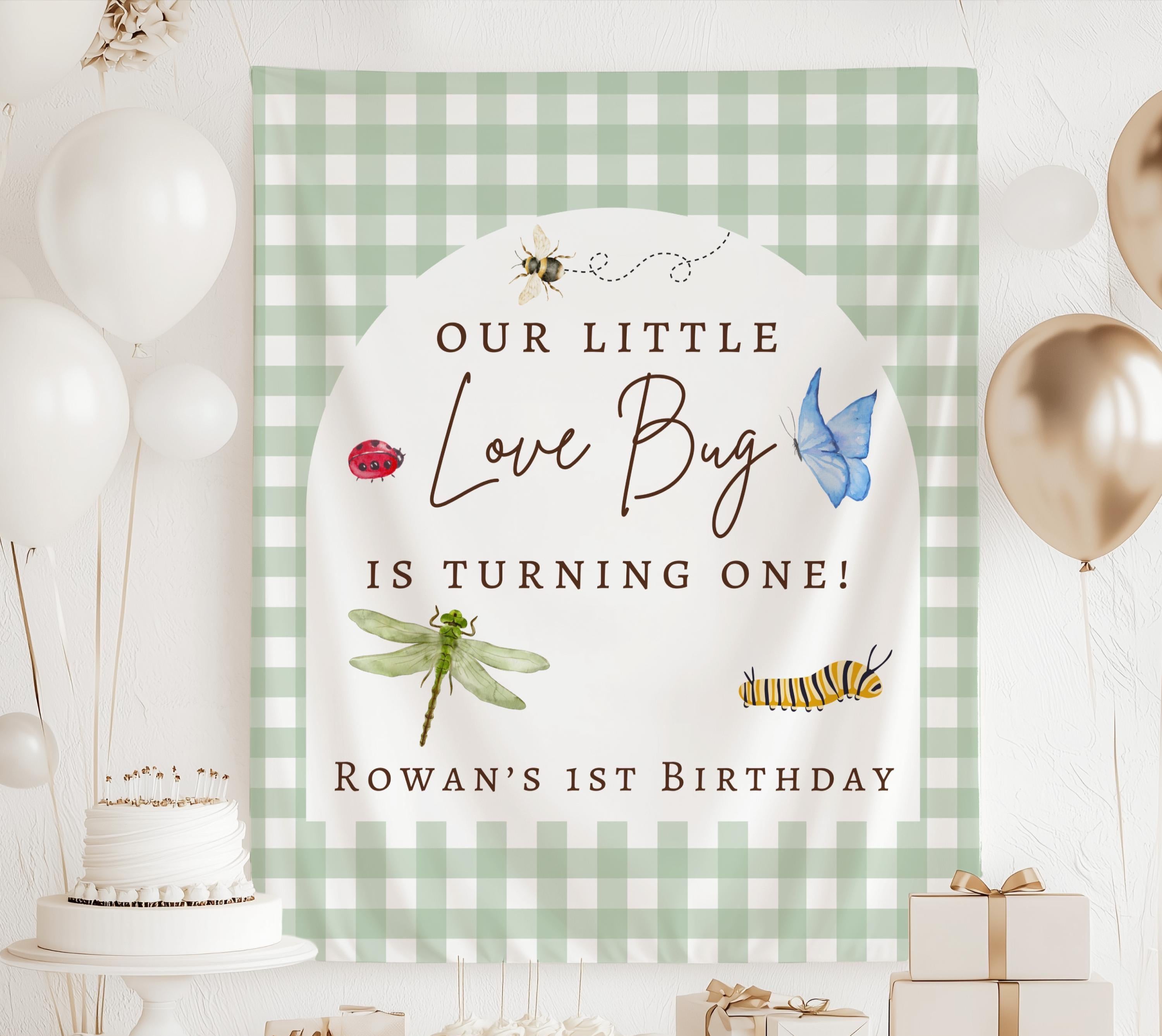 Personalized Love Bug first birthday banner with custom name for a bug themed first birthday
